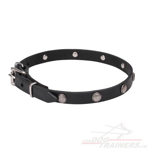 halsband leder blumen gravieren
handgemacht