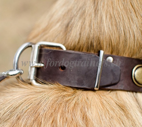 halsbnder leder tervueren hund schweiz