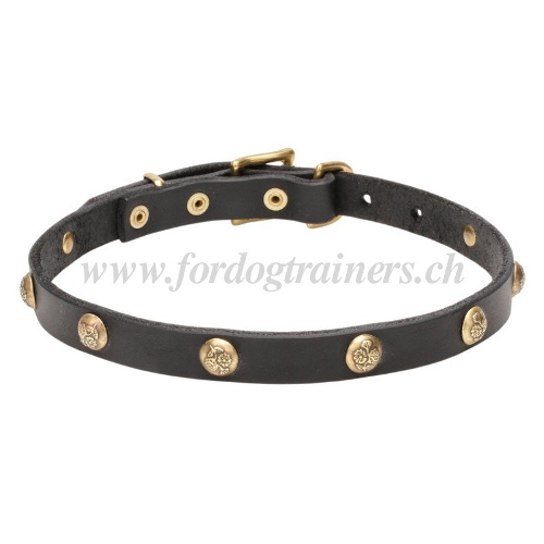 design lederhalsband schweiz