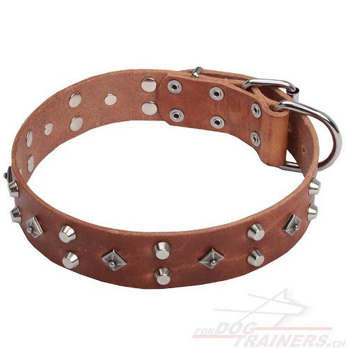 hundehalsband leder handgemacht bern