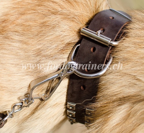 nietenhalsband leder Tervueren schweiz