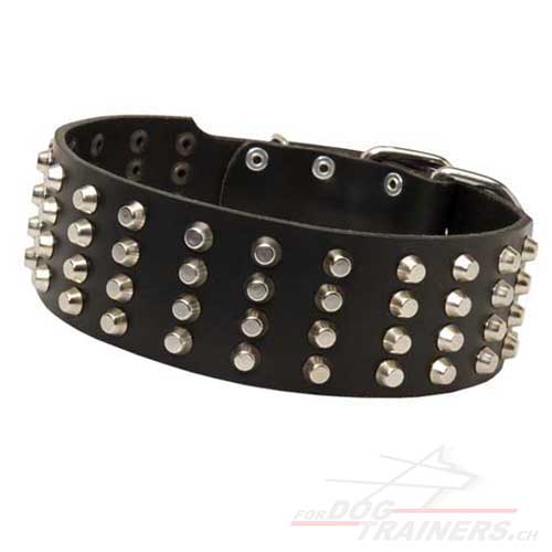 extra breites
hundehalsband kaufen
