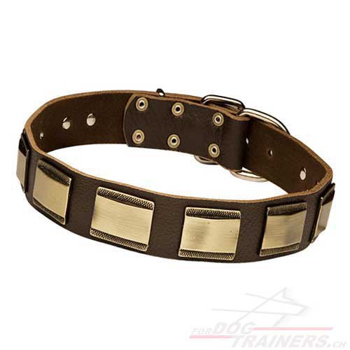 hundehalsband leder 40 cm
schweiz