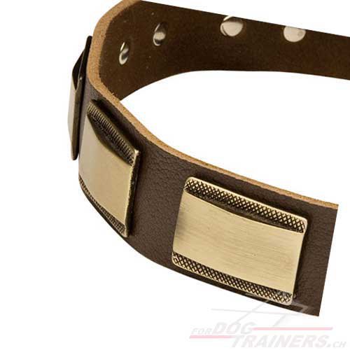 hundehalsband leder antik platten