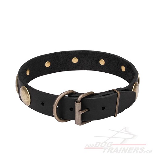 hundehalsband leder breit handgemacht gravierten Messing
Kreisen