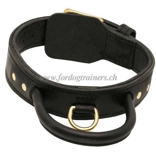 hetzhalsband leder Halbring hundesport schweiz