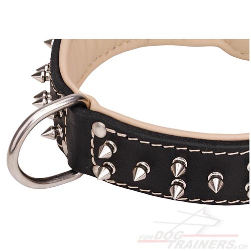 Halsband Nappa leder vernickelte spikes