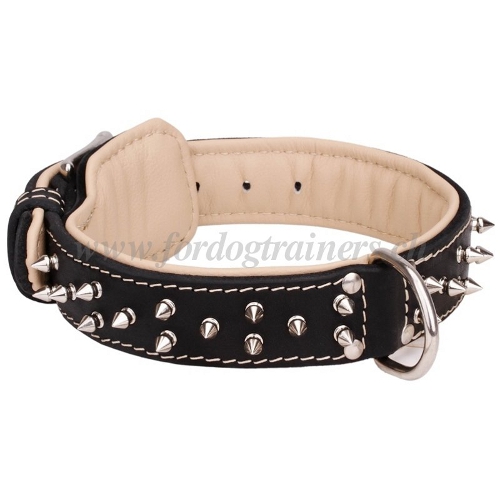 leder Halsband Nappa vernickelte spikes