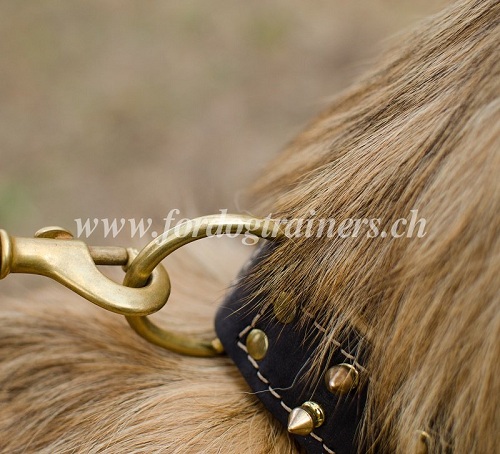 halsband Nappa tervueren effretikon
