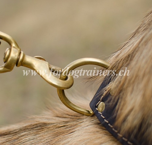 hundehalsband Nappa belgischer schferhund kaufen