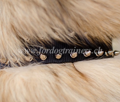 nylon halsband spikes tervueren
handgemacht
