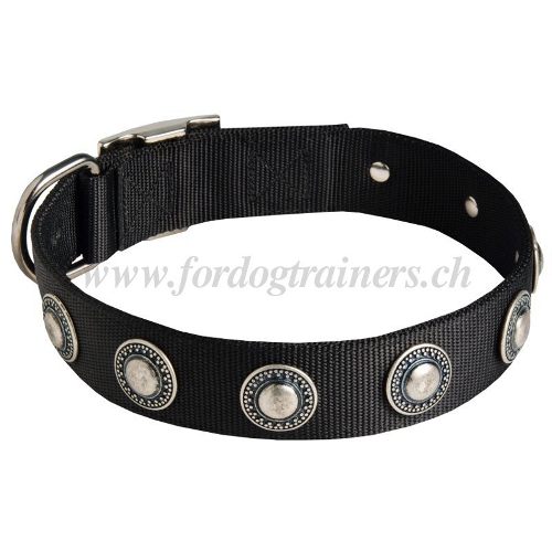 halsband nylon conchos schweiz