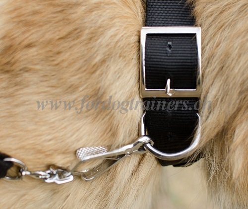halsband nylon bern kaufen