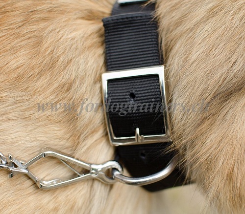 Nylon Hundehalsband fr Tervueren bestellen