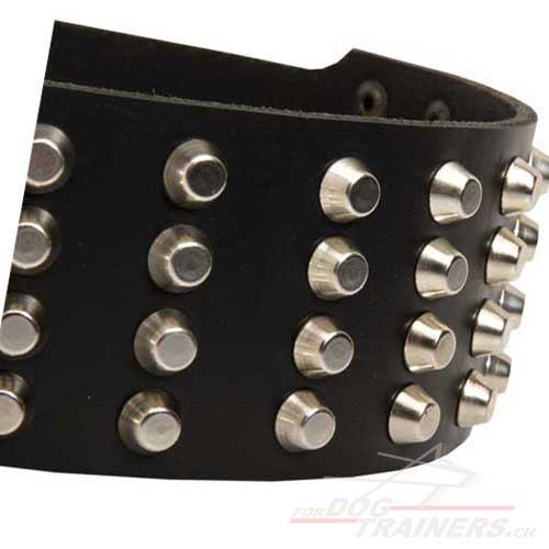 hundehalsband selbst designen
