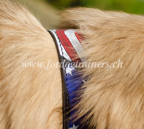 lederhalsband bemalt tervueren
hund