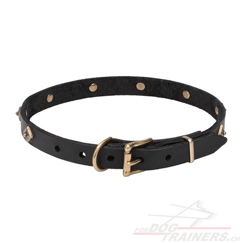 halsband leder blumen gravieren
handgemacht