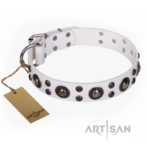 Hundehalsband hWei mit verzierung artisan