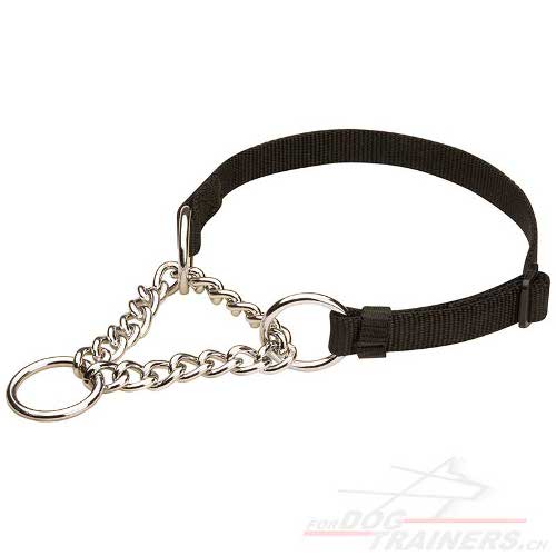 hundehalsband
martingale schweiz
