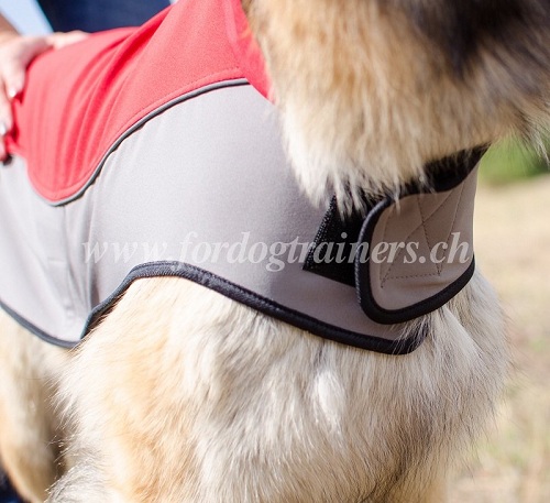 hundemantel rot fr tervueren