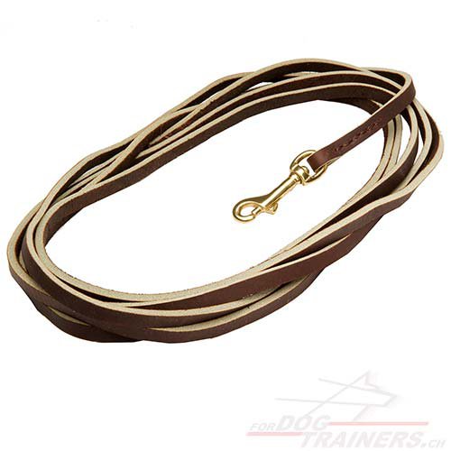 hundeleine leder messing kaufen
