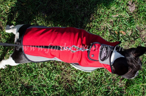 Geschirr aus Nylon Sport Design