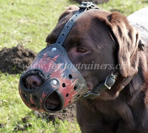 maulkorb leder bemalt labrador 