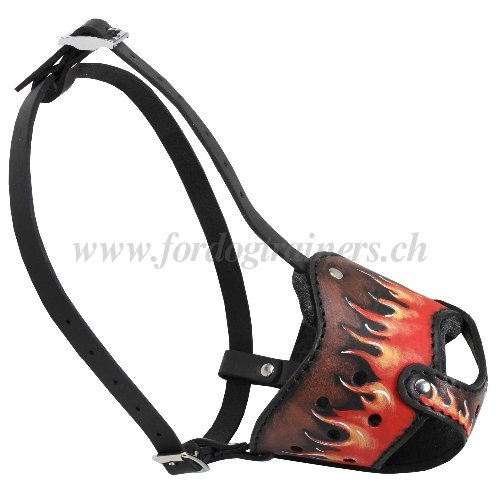 maulkorb flamme bemalt wrzberg