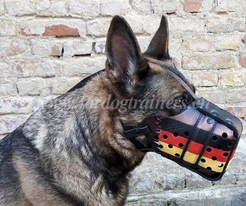 maulkorb leder Malinois
deutsche flagge
kaufen