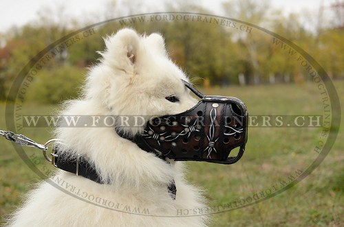 bemalter leder Hundemaulkorb fr
samojede