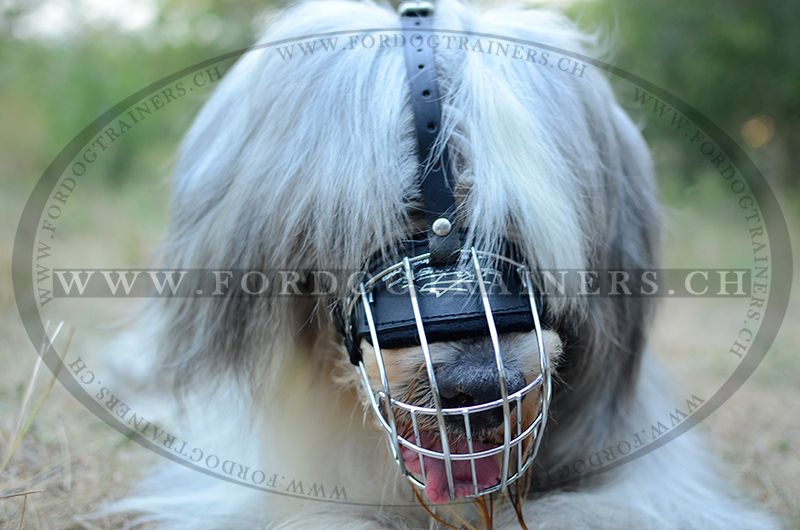 Russian dog shop muzzle