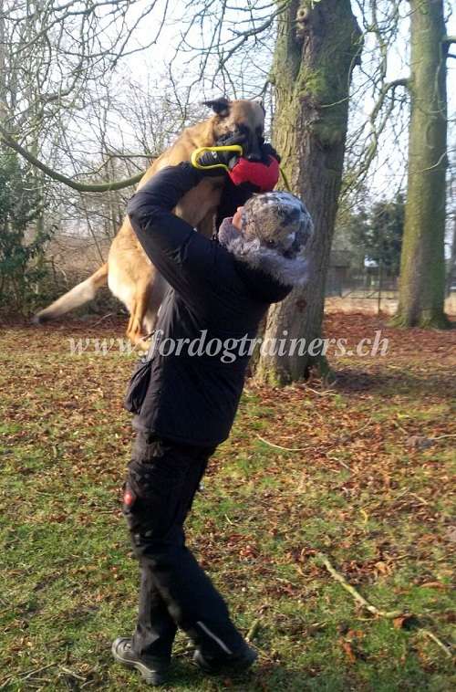 beikissen french linen malinois kaufen