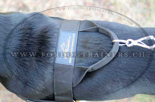 Sportgeschirr aus Nylon fr Groen Schweizer Sennenhund
bestellen