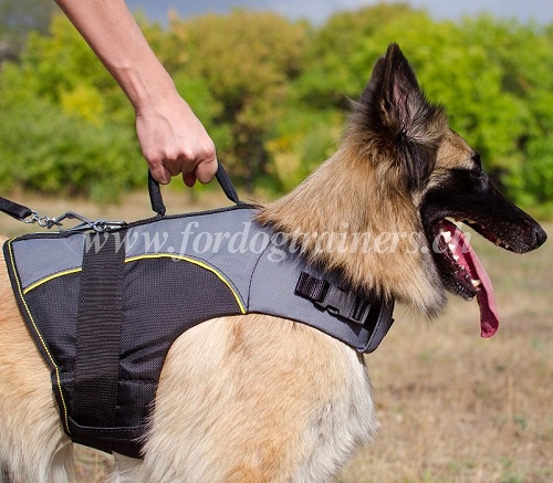 hundeweste mit griff Schweiz