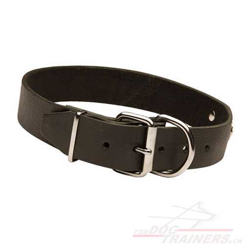 Hundehalsband fr Deutschen Schferhund aus Leder mit
Nameschild