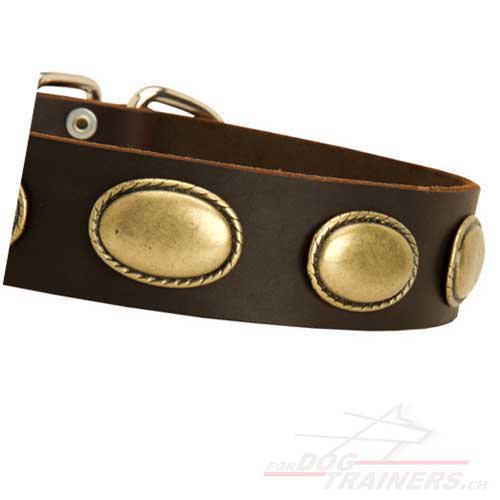 hundehalsbnder Vintage luzern