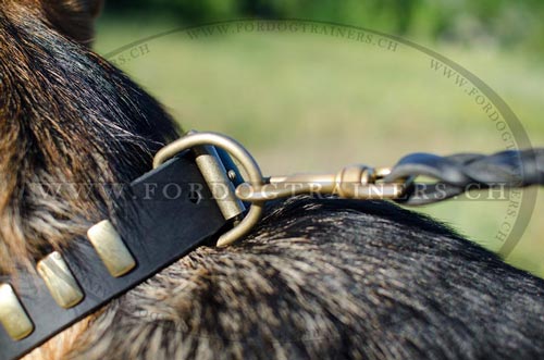 Hunde Lederhalsband fr Schferhund messingplatten
Schweiz