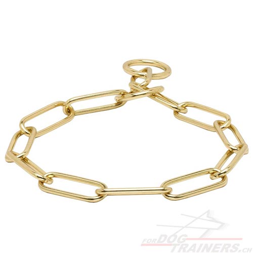 Kettenhalsband hundeshop schweiz