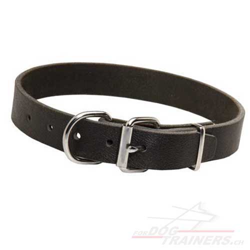 classic leather collar Switzerland