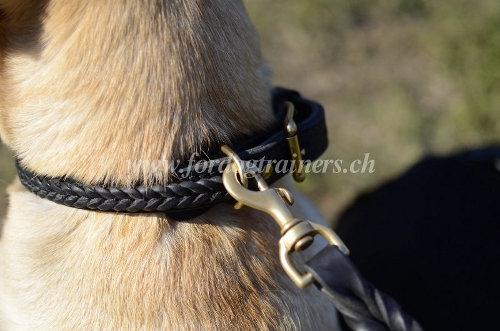 Doppelleder halsband mit Zopfdesign labrador