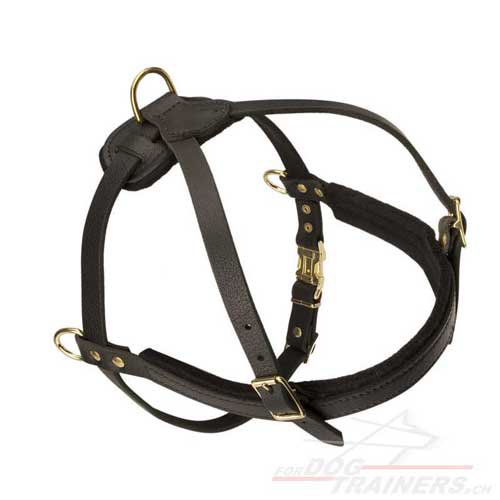 Tracking Harness Pulling Leather Design