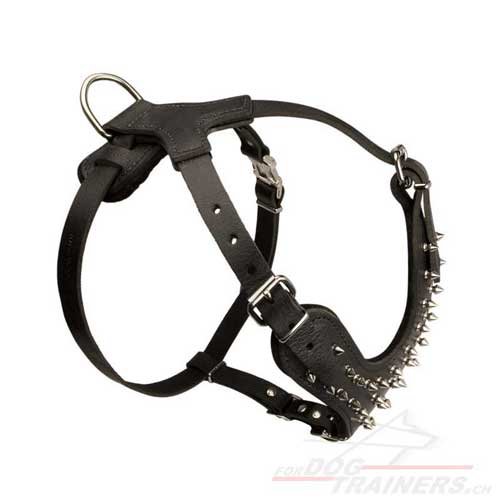 leder hundegeschirr nach ma