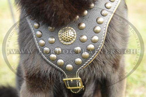 Bestes Brustgeschirr fr Schferhund bestellen