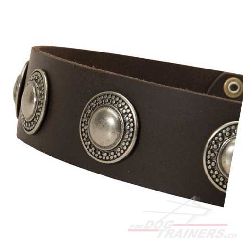 hundehalsbnder silberne conchos schweiz