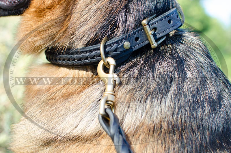 Hundehalsband fr Schferhund mit Zpfchen Vollrindleder!