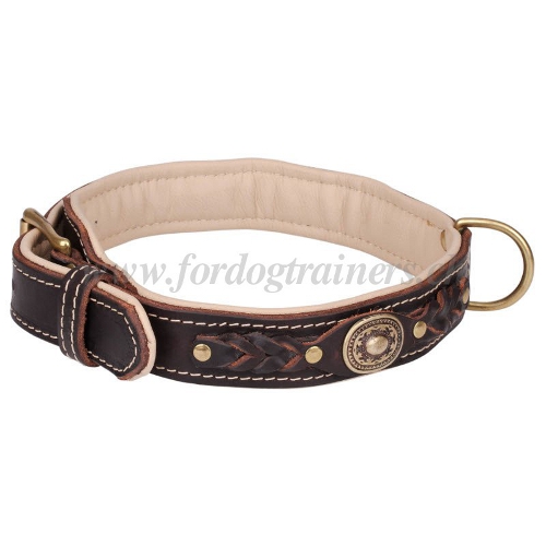 leder halsband messing d-ring geflochten