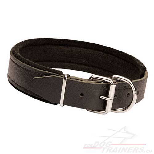 leder halsband mit polsterung schweiz kaufen