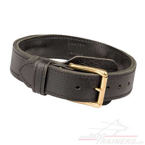 leder halsband handschlaufe schweiz