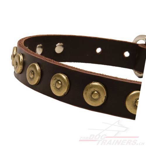 lederhalsband hunde runde nieten