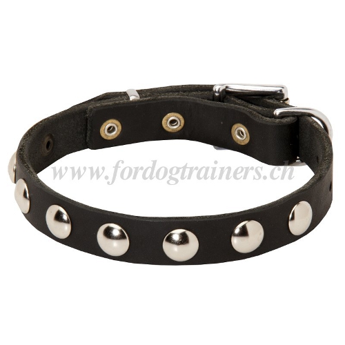 dnnes halsband hund leder handgemacht